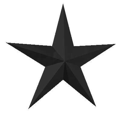 Spinning black star